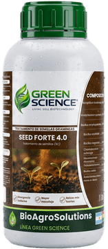 SEED FORTE 4.0